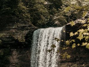 Превью обои водопад, обрыв, течение, лес, природа