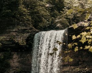 Превью обои водопад, обрыв, течение, лес, природа