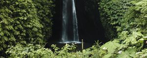 Превью обои водопад, обрыв, зелень, растительность, природа