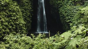 Превью обои водопад, обрыв, зелень, растительность, природа