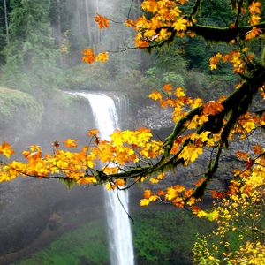 Превью обои водопад, осень, клен, ветки, пейзаж, природа