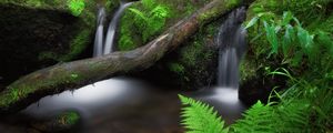 Превью обои водопад, папоротник, камни, мох