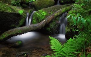 Превью обои водопад, папоротник, камни, мох