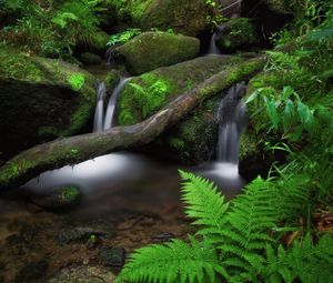 Превью обои водопад, папоротник, камни, мох