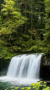 Превью обои водопад, пейзаж, природа, деревья, растения