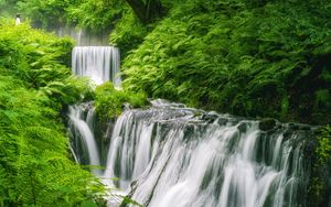 Превью обои водопад, пейзаж, растения, природа