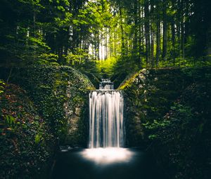 Превью обои водопад, пейзаж, растения, деревья, кусты