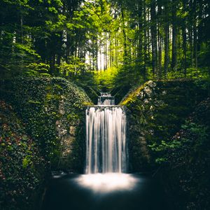 Превью обои водопад, пейзаж, растения, деревья, кусты