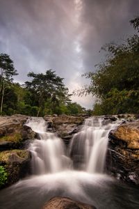 Превью обои водопад, поток, деревья, кусты, камни