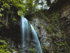 Превью обои водопад, поток, камни, мох, папоротник