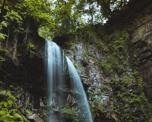 Превью обои водопад, поток, камни, мох, папоротник