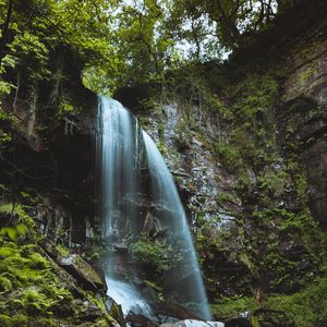 Превью обои водопад, поток, камни, мох, папоротник