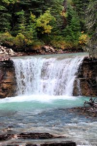 Превью обои водопад, поток, кусты, скалы, деревья