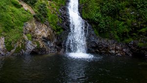 Превью обои водопад, поток, скала, вода, мох, кусты