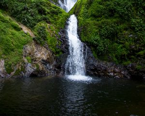 Превью обои водопад, поток, скала, вода, мох, кусты