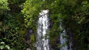 Превью обои водопад, поток, скалы, деревья, ветки