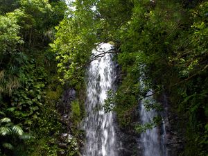 Превью обои водопад, поток, скалы, деревья, ветки