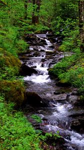 Превью обои водопад, поток, трава, мох, деревья