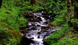 Превью обои водопад, поток, трава, мох, деревья
