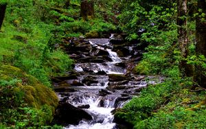 Превью обои водопад, поток, трава, мох, деревья