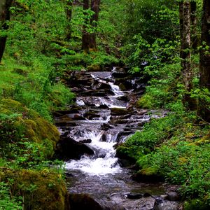 Превью обои водопад, поток, трава, мох, деревья