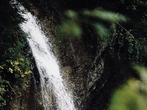 Превью обои водопад, поток, ветки, брызги