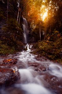 Превью обои водопад, поток, вода, камни, деревья