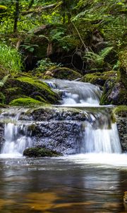 Превью обои водопад, растения, камни, вода, течение