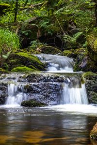 Превью обои водопад, растения, камни, вода, течение