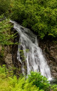 Превью обои водопад, растения, камни, вода