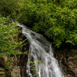 Превью обои водопад, растения, камни, вода