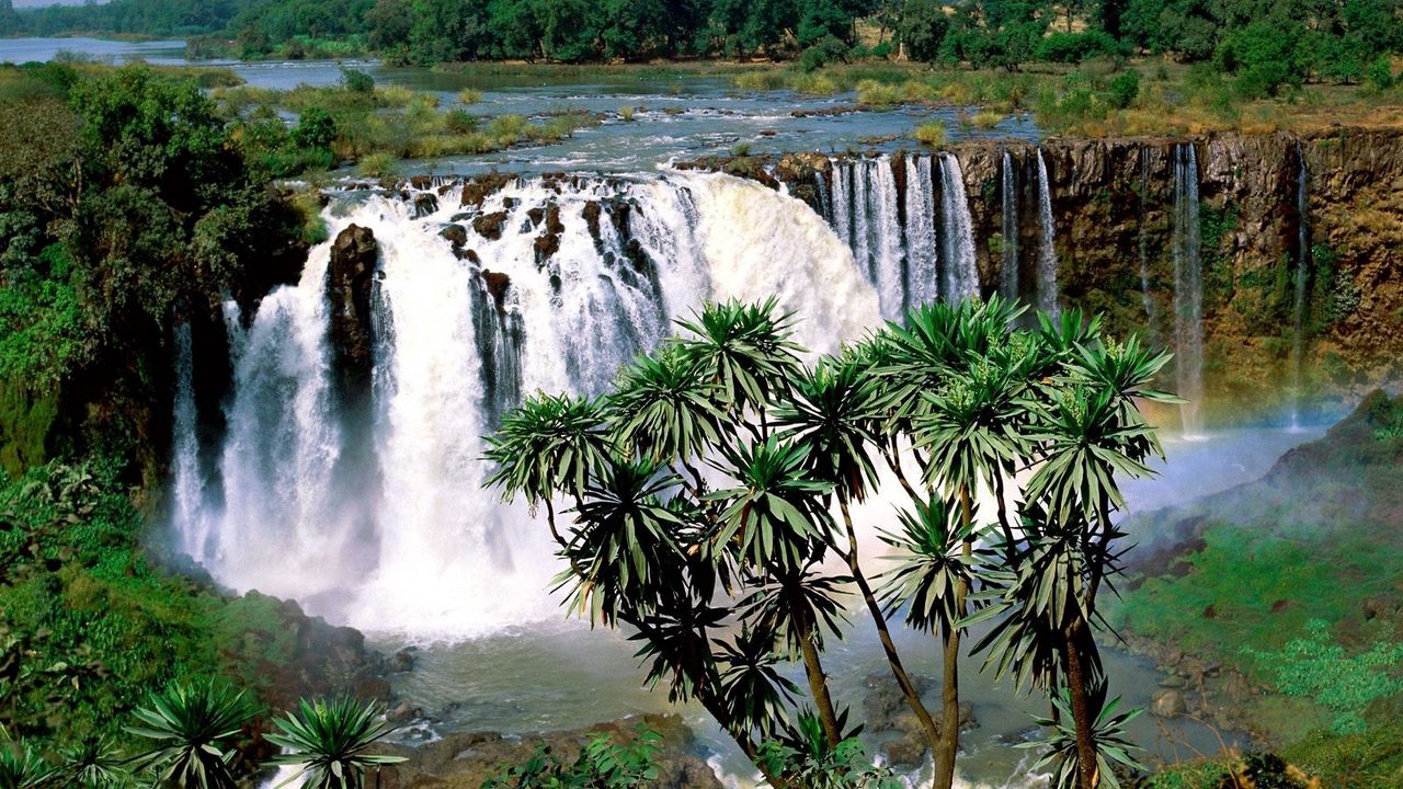Обои водопад, растительность, дерево, потоки, вода