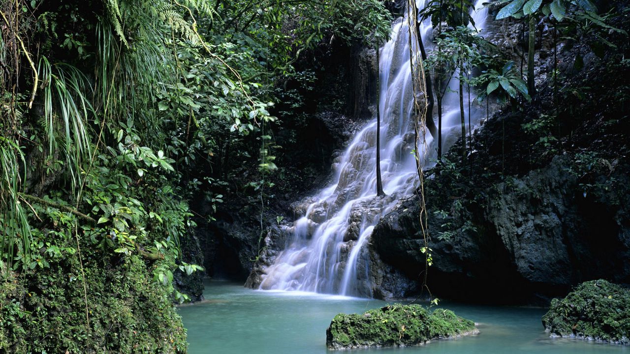 Обои водопад, растительность, зелень, ущелье, мох, листья