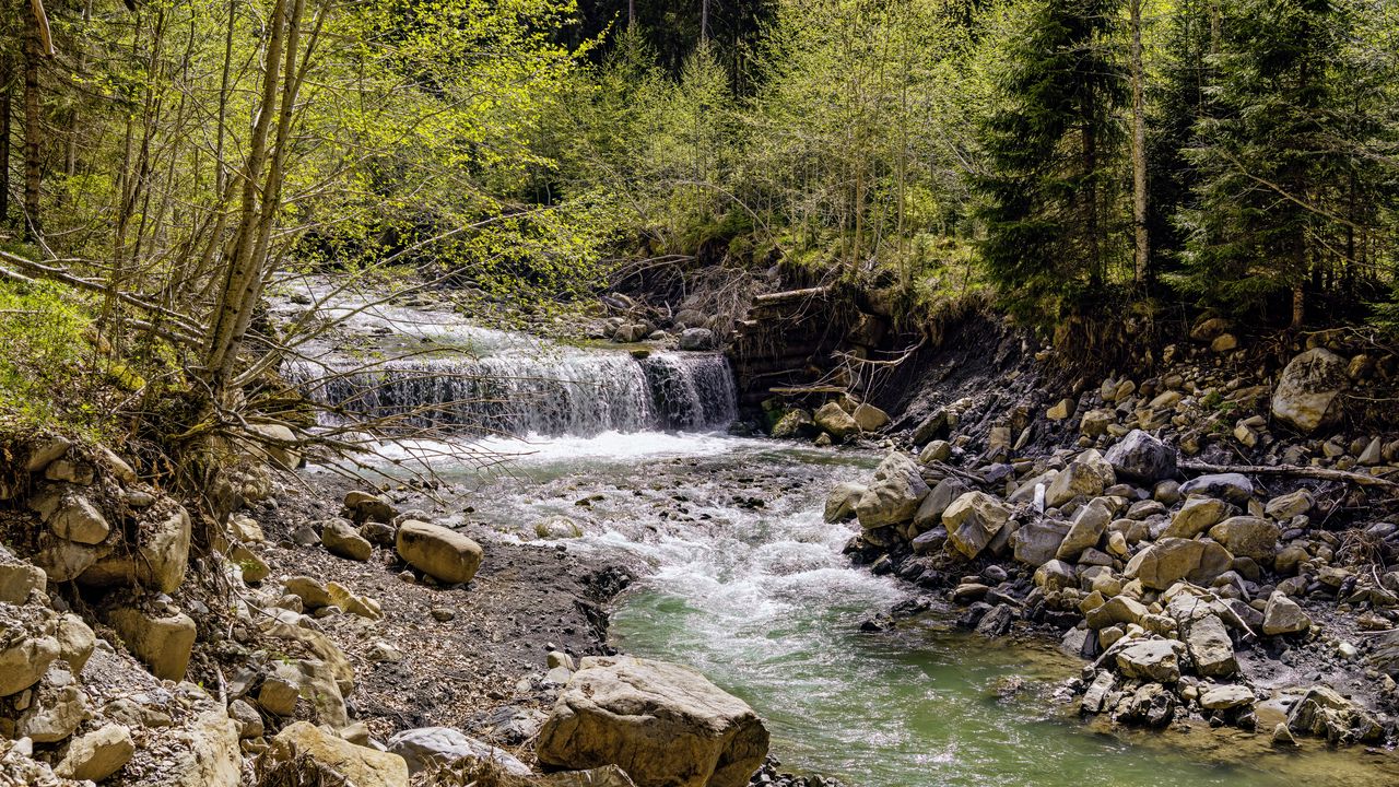 Обои водопад, река, деревья, камни, лес, природа