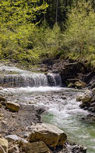 Превью обои водопад, река, деревья, камни, лес, природа