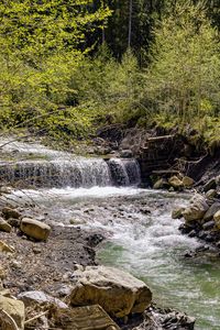 Превью обои водопад, река, деревья, камни, лес, природа