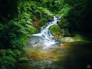 Превью обои водопад, река, камни, пейзаж, деревья, мох