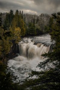 Превью обои водопад, река, лес, вода, пейзаж, природа