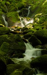 Превью обои водопад, река, мох, камни, природа