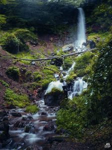 Превью обои водопад, река, растения, камни, лес, природа