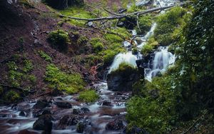 Превью обои водопад, река, растения, камни, лес, природа