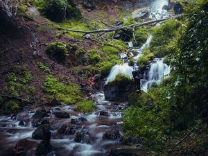 Превью обои водопад, река, растения, камни, лес, природа