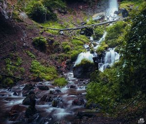 Превью обои водопад, река, растения, камни, лес, природа