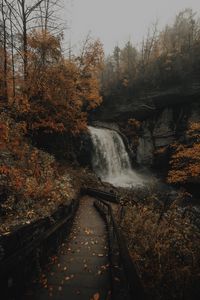 Превью обои водопад, река, скалы, деревья, лестница