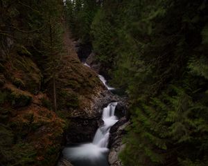 Превью обои водопад, река, течение, деревья, лес