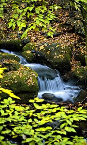 Превью обои водопад, ручей, камни, листья