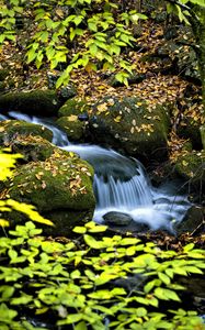 Превью обои водопад, ручей, камни, листья