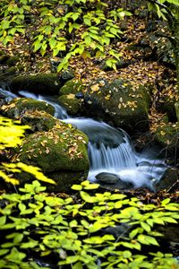 Превью обои водопад, ручей, камни, листья