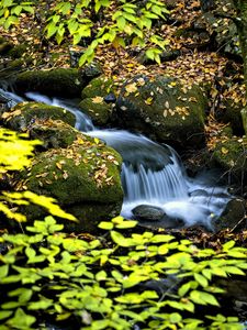 Превью обои водопад, ручей, камни, листья