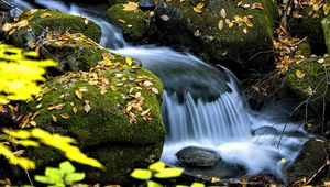 Превью обои водопад, ручей, камни, листья